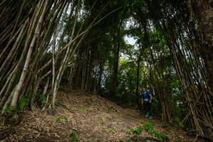 BIB: 
                            <button type="button" onclick="openModal(19396080)" class="btn btn-primary btn-sm float-right btn-popup" data-toggle="modal" data-target=".modal-high-quality">
                        <i class="fas fa-shopping-cart"></i> Add to Cart
                    </button>
                                            <button type="button" onclick="isThisMe(19396080, true)" class="btn btn-success btn-sm float-right btn-popup btn-isme hidden" data-toggle="tooltip" data-placement="bottom" title="นี่คือรูปของคุณใช่ไหม คลิกที่นี่เพื่อเอาเข้าอัลบั้ม">
                        <i class="fas fa-plus"></i> Add to album
                    </button>
                    <button type="button" onclick="isThisMe(19396080, false)" class="btn btn-warning btn-sm float-right btn-popup btn-isnotme hidden">
                        <i class="fas fa-ban"></i> Remove from album
                    </button>